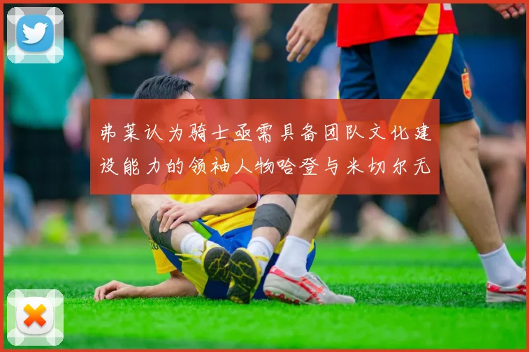 弗莱认为骑士亟需具备团队文化建设能力的领袖人物哈登与米切尔无法胜任